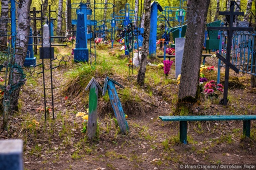 Четыре новосибирских кладбища закроют для транспорта в Радоницу